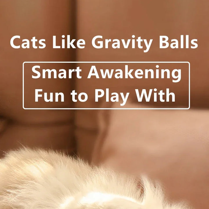 Spin Ball for Cats - Pet Things for Cats Toys / USB Charging