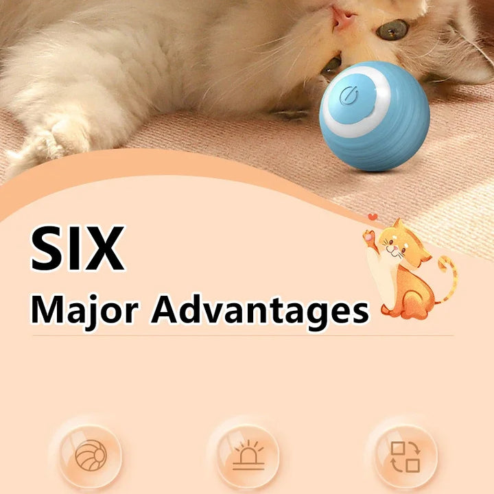 Spin Ball for Cats - Pet Things for Cats Toys / USB Charging