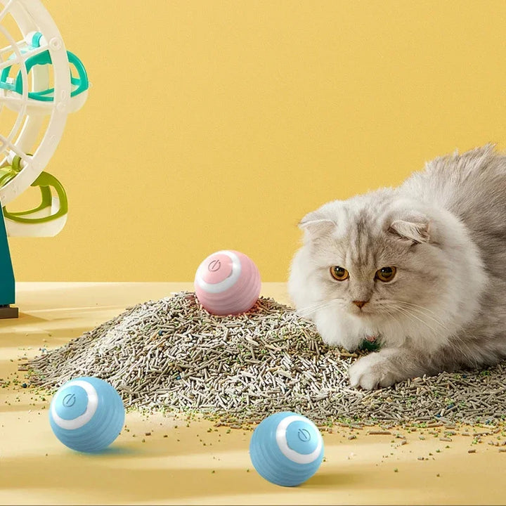 Spin Ball for Cats - Pet Things for Cats Toys / USB Charging