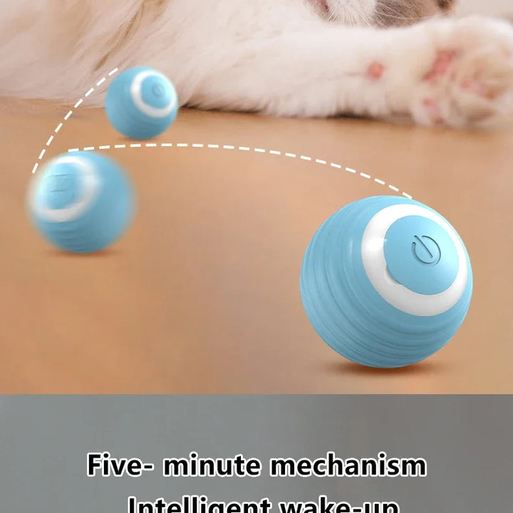 Spin Ball for Cats - Pet Things for Cats Toys / USB Charging