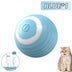 Spin Ball for Cats - Pet Things for Cats Toys / USB Charging